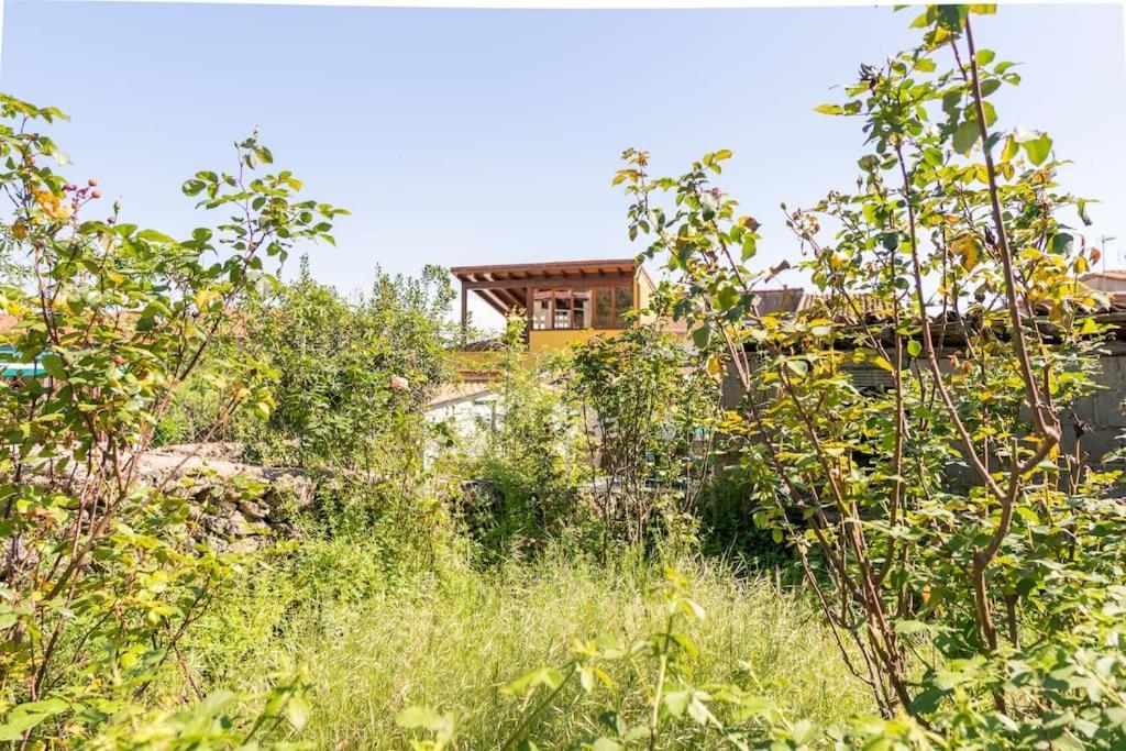 Casa La Vera Rural Talaveruela 外观 照片